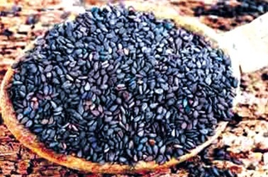 Bánh vừng đen chữa đái tháo đường